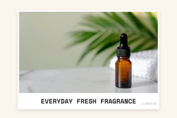 everyday fresh fragrance