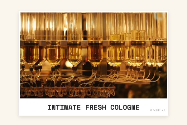 intimate fresh cologne