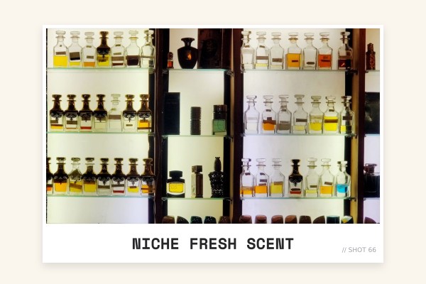 niche fresh scent