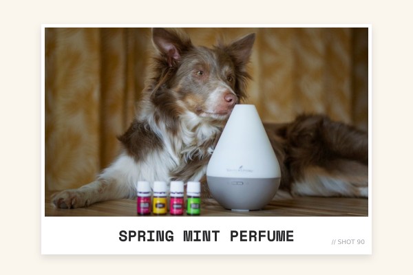 spring mint perfume